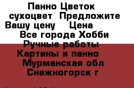 Панно Цветок - сухоцвет. Предложите Вашу цену! › Цена ­ 4 000 - Все города Хобби. Ручные работы » Картины и панно   . Мурманская обл.,Снежногорск г.